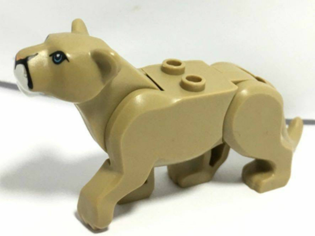 Cat, Large (Mountain Lion) with White Muzzle, Medium Azure Eyes and Nougat Nose Pattern