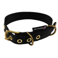 Collars Seatbelt