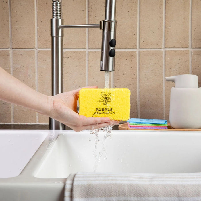 Compostable Dish Sponges: Plastic-Free & Eco-Friendly. Cellulose & Coconut fiber