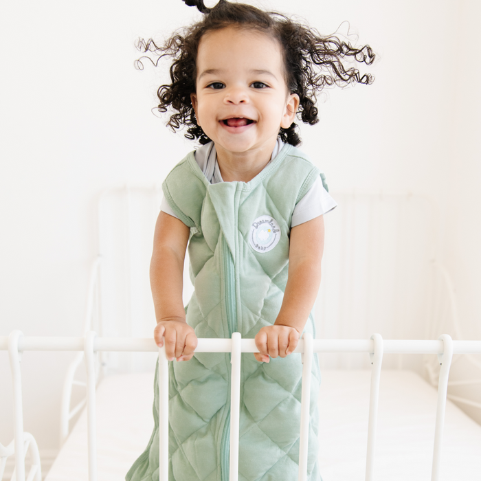 Dream Weighted Sleep Sack (Multiple Colors)