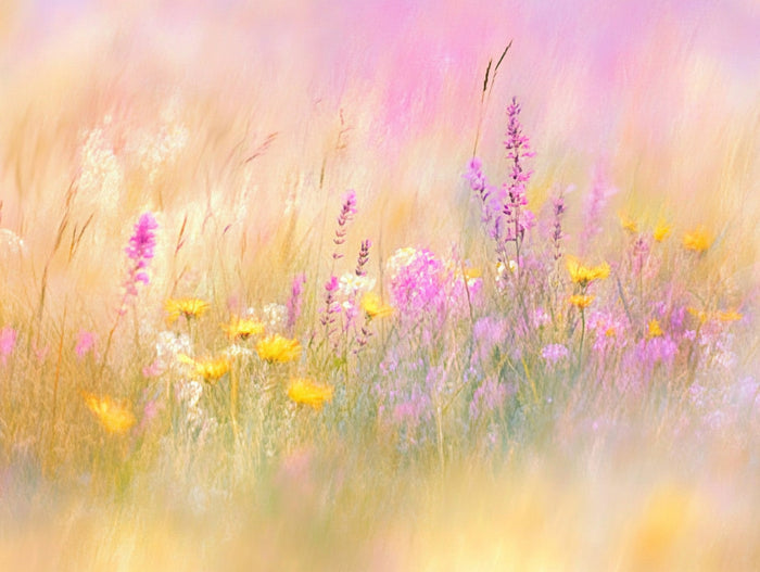 Impressionist Wildflower Meadow