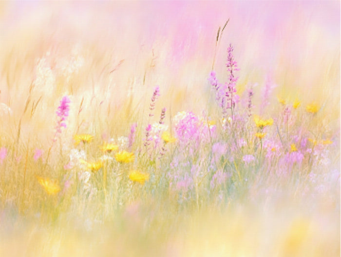 Impressionist Wildflower Meadow