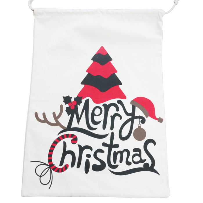 Sustainable Holiday Gift Bags! - 2 sizes