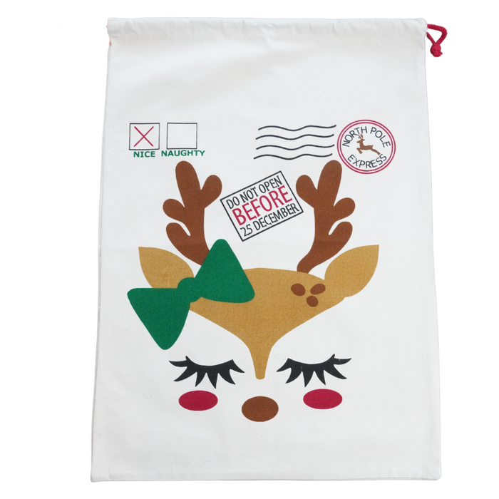 Sustainable Holiday Gift Bags! - 2 sizes