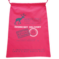 Sustainable Holiday Gift Bags! - 2 sizes