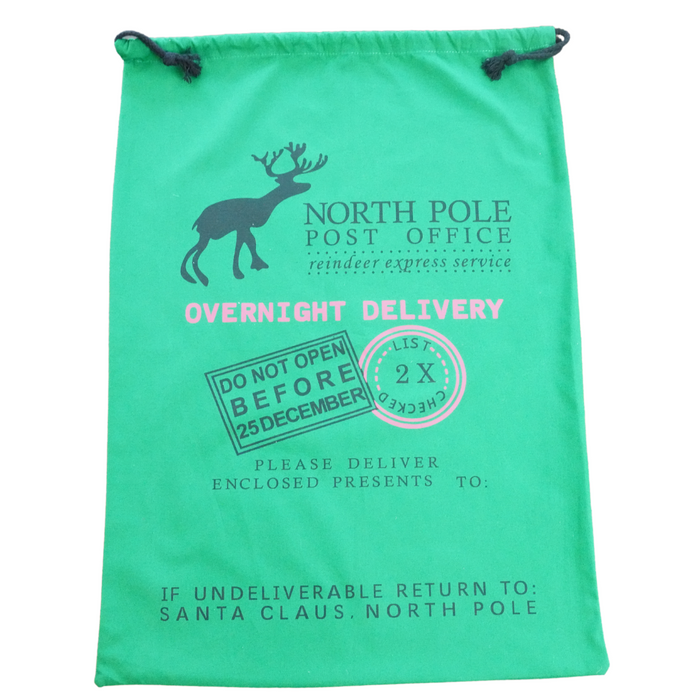 Sustainable Holiday Gift Bags! - 2 sizes